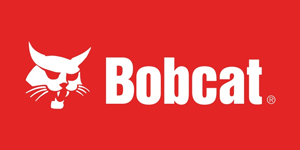 bobcat