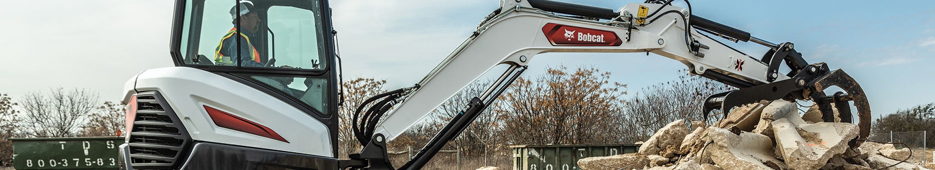 Bobcat